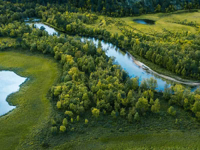 Eco-Insights: Customers Are Pushing Data Centers to Have a Greener Approach image