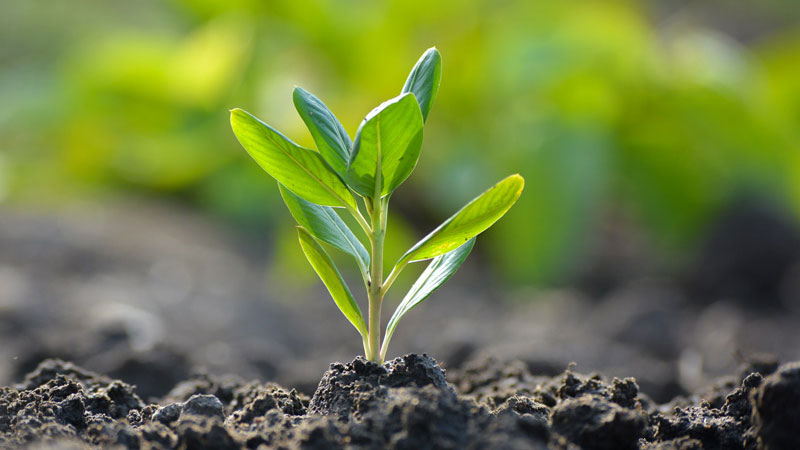 Earth Day everyday: Vertiv’s ongoing commitment to environmental stewardship image